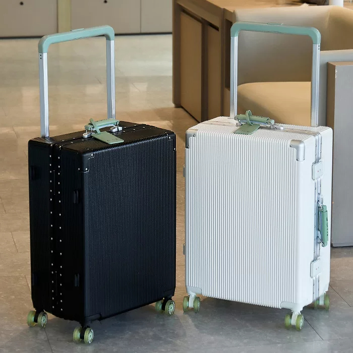 Koffer mit breitem Griff und R – Spinner Wheel Rolling Suitcase 20 Inch Bewertung und Preis
